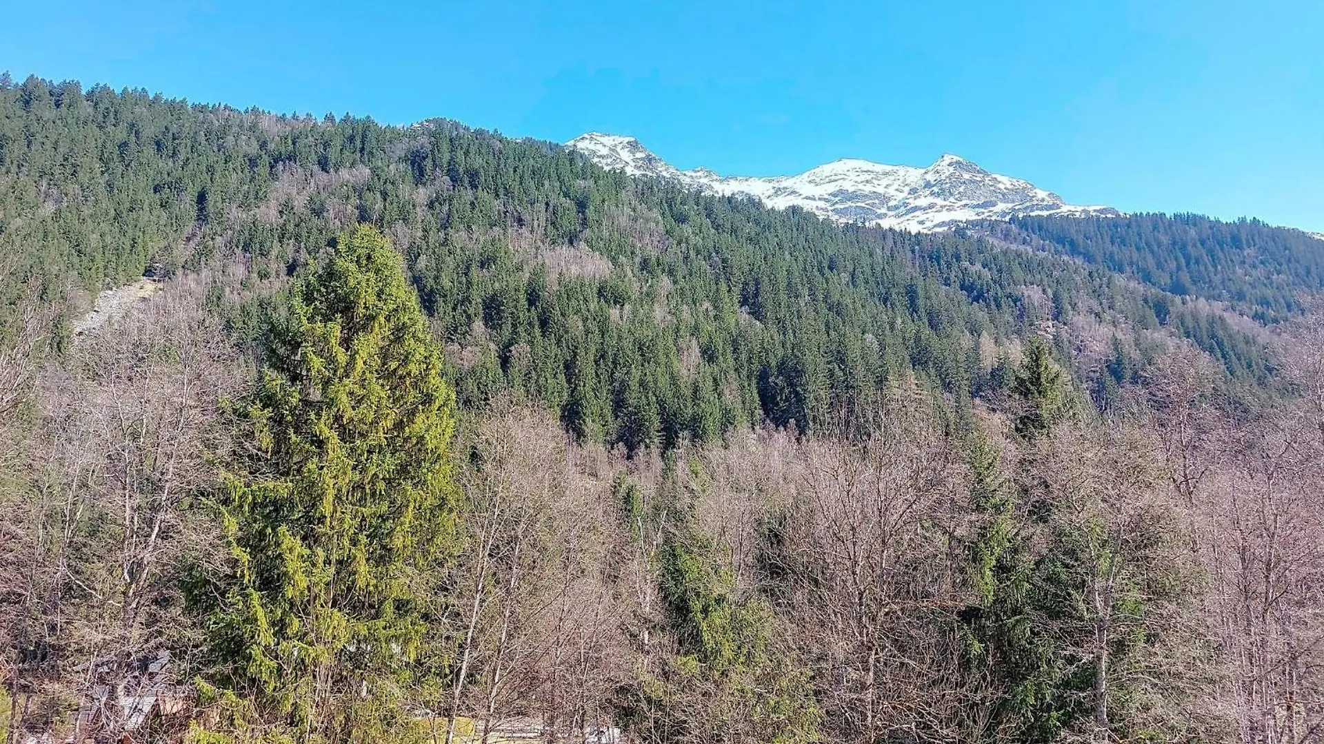 Apartment Pierres Blanches F Et H-20 Le Cugnon